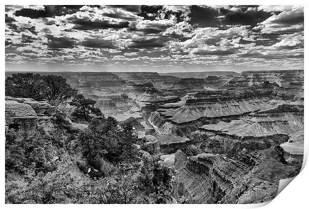 The Grand Canyon and Colorado River  Print by Greg Marshall