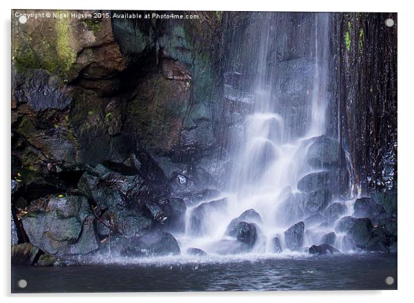 Kaua'i waterfall Acrylic by Nigel Higson