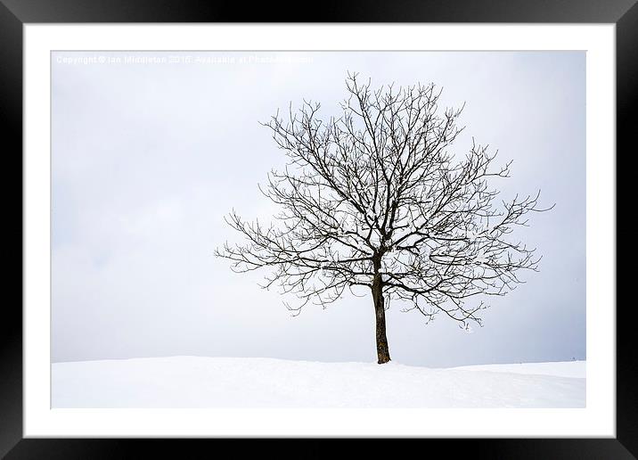Winter Framed Mounted Print by Ian Middleton