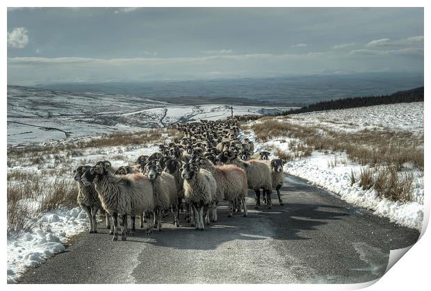 Trouble Ahead  Print by Tony Clement