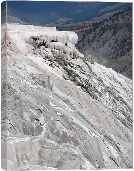 Mammoth Hot Springs Canvas Print by Mary Lane