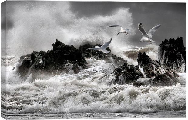 Stormy sea's  Canvas Print by Robert Fielding