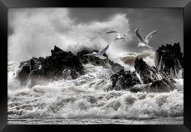 Stormy sea's  Framed Print by Robert Fielding