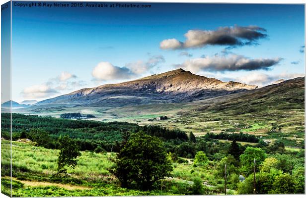  Mount Snowdon Canvas Print by Ray Nelson
