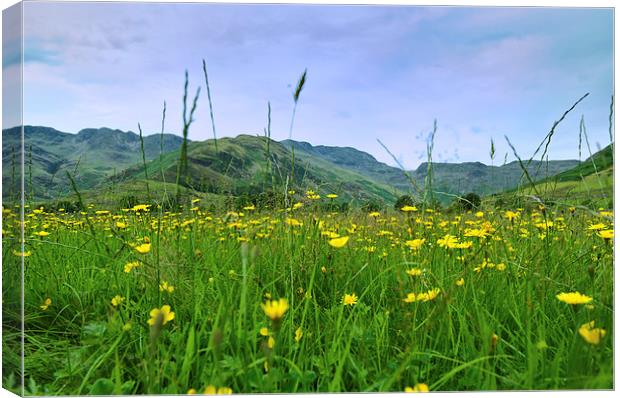  Crinkle Crags and Buttercups in Langdale Lake Dis Canvas Print by Greg Marshall