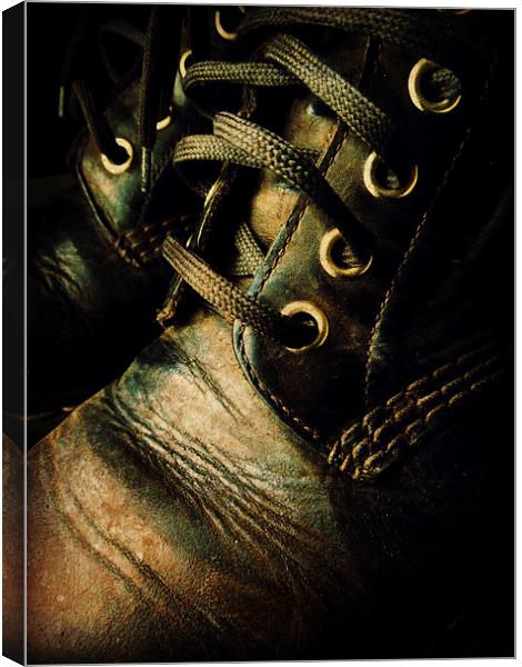  old boots Canvas Print by Heather Newton