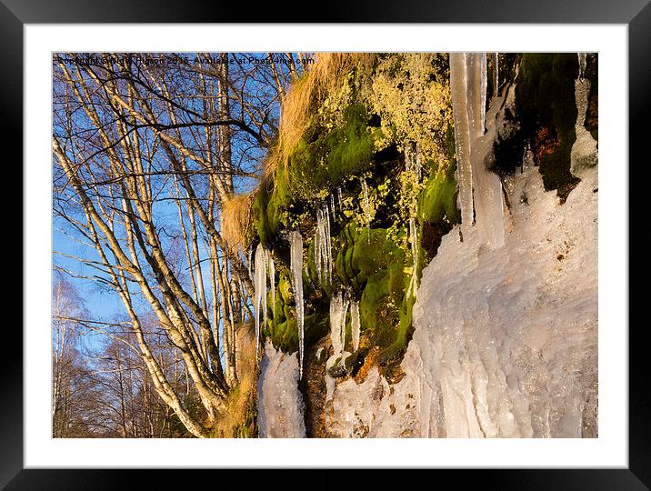  Icicles on the riverbank Framed Mounted Print by Nigel Higson