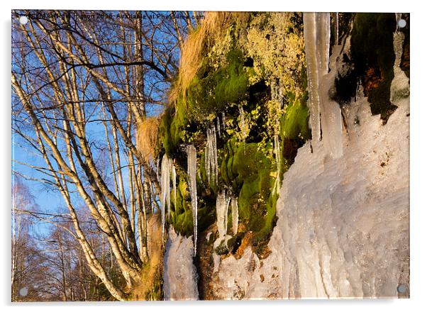  Icicles on the riverbank Acrylic by Nigel Higson