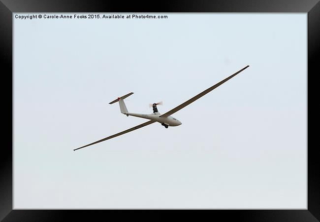 Glider in Flight Framed Print by Carole-Anne Fooks
