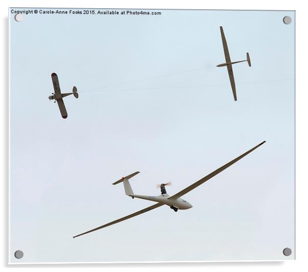  Gliders And Towing Aircraft Acrylic by Carole-Anne Fooks