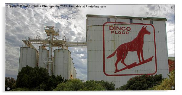  Dingo Flour - Fremantle - WA Acrylic by Colin Williams Photography