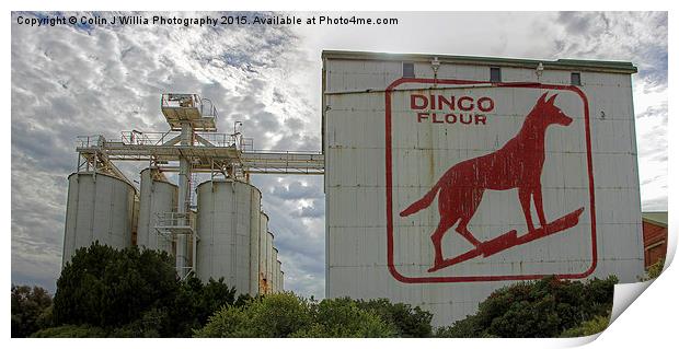  Dingo Flour - Fremantle - WA Print by Colin Williams Photography