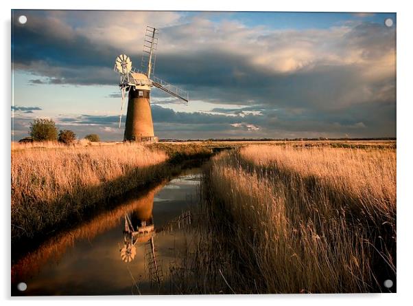  Evening Light Over St. Benet's Drainage Mill Acrylic by Broadland Photography
