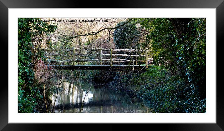  To Cross the Stream Framed Mounted Print by Sylvia White