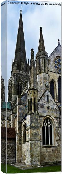  Chichester Cathedral Canvas Print by Sylvia White