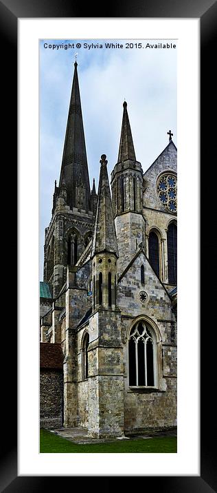  Chichester Cathedral Framed Mounted Print by Sylvia White