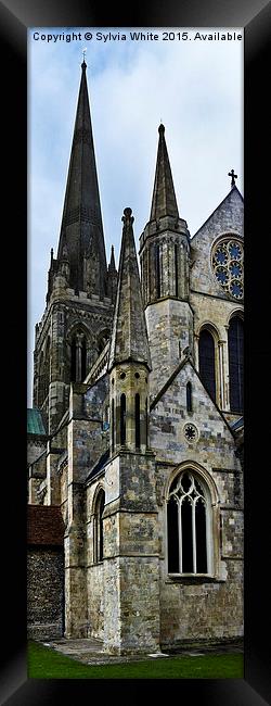  Chichester Cathedral Framed Print by Sylvia White