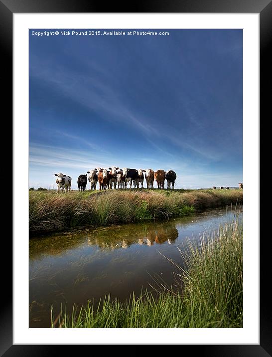 The Watchers on the Somerset Levels Framed Mounted Print by Nick Pound