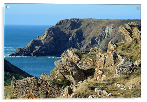 Cornish Cliffs Acrylic by allen martin