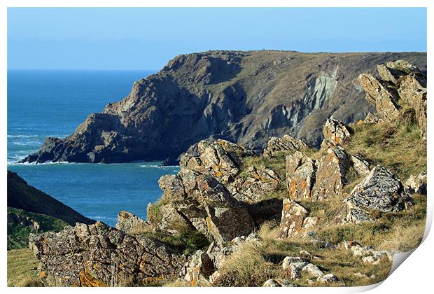 Cornish Cliffs Print by allen martin