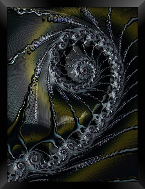  Spiral in Pewter Framed Print by Amanda Moore