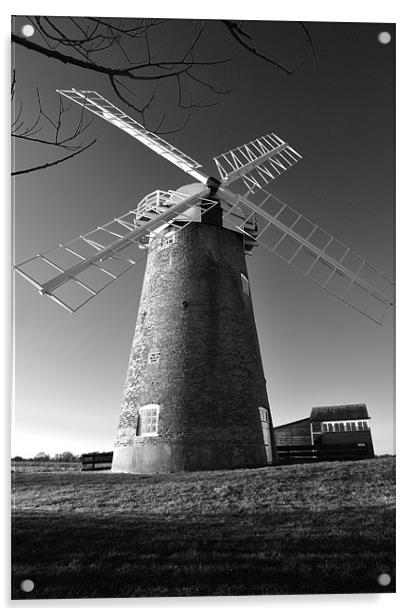 Horsey Windmill in Black and White Acrylic by Stephen Mole