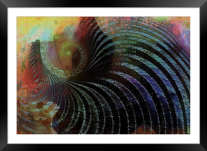  Radials Framed Mounted Print by Amanda Moore