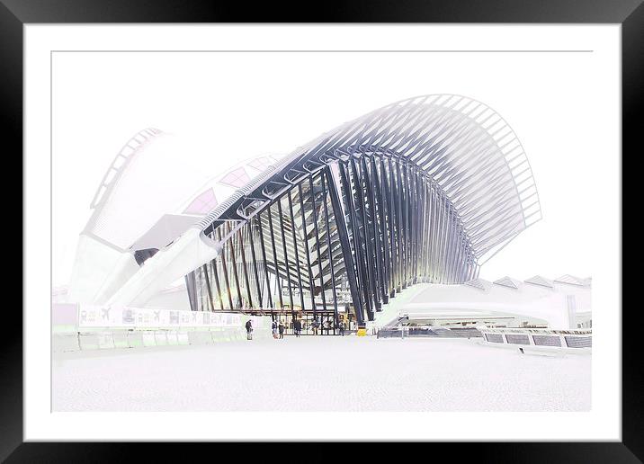  Lyon, France, St Exupery airport and rail station Framed Mounted Print by Michael Chandler