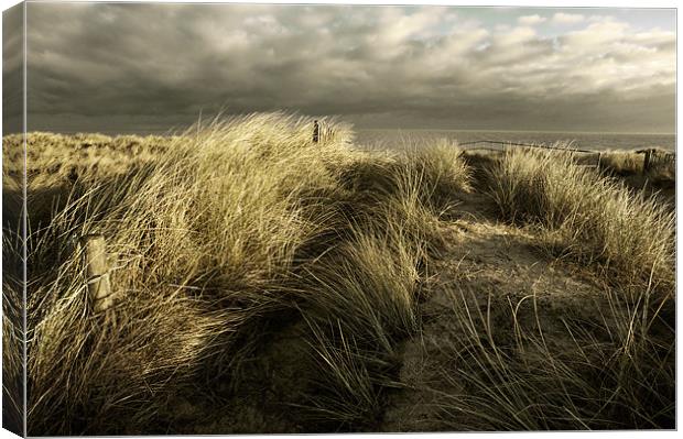 peeping over the dunes Canvas Print by Stephen Mole