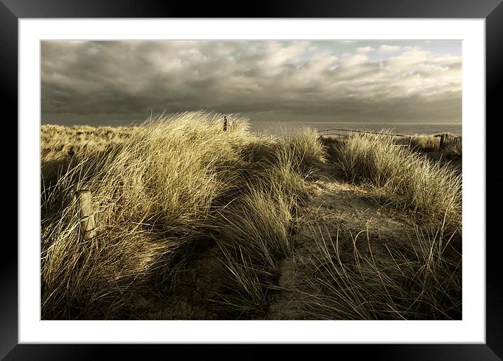 peeping over the dunes Framed Mounted Print by Stephen Mole