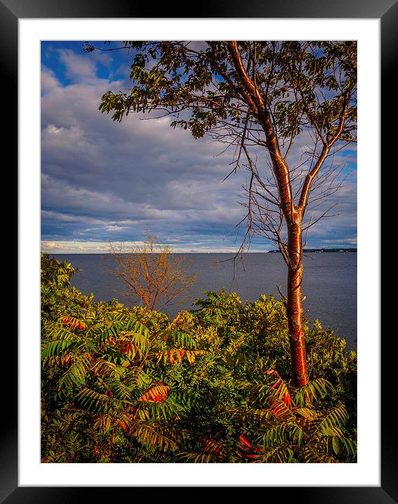 Bouctouche View, New Brunswick, Canada Framed Mounted Print by Mark Llewellyn