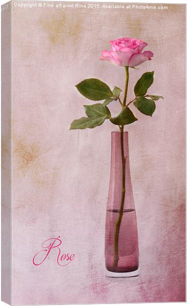  Rose Canvas Print by Fine art by Rina