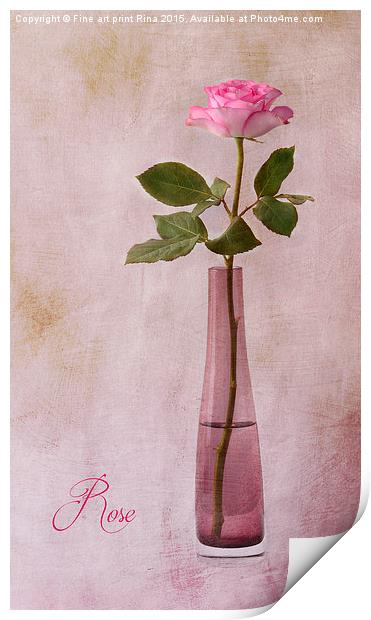  Rose Print by Fine art by Rina