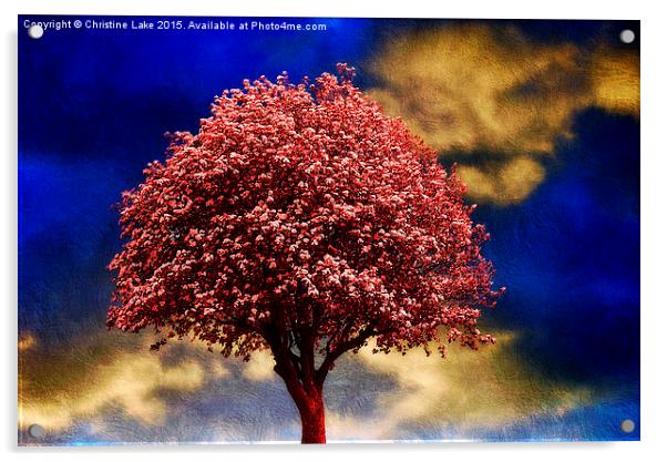  Tree In Red Acrylic by Christine Lake