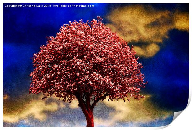  Tree In Red Print by Christine Lake