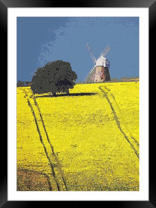  Halnaker windmill, Sussex Framed Mounted Print by Michael Chandler