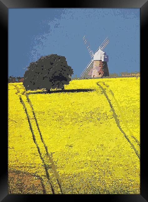  Halnaker windmill, Sussex Framed Print by Michael Chandler