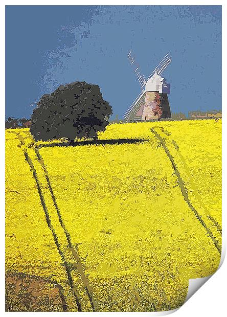  Halnaker windmill, Sussex Print by Michael Chandler