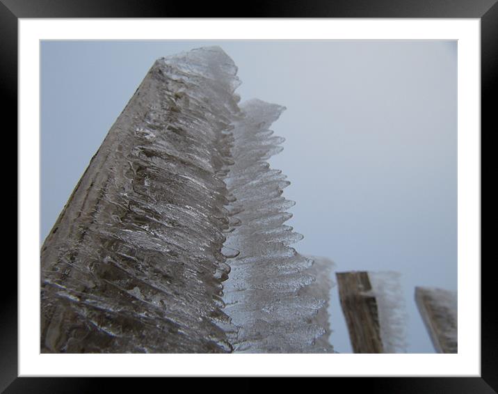 Iced Fence Framed Mounted Print by James Lamont