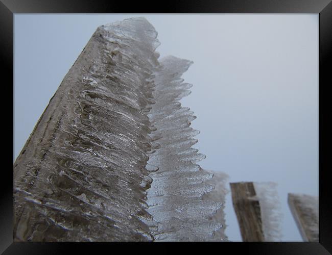 Iced Fence Framed Print by James Lamont