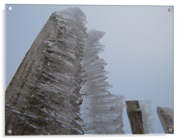 Iced Fence Acrylic by James Lamont
