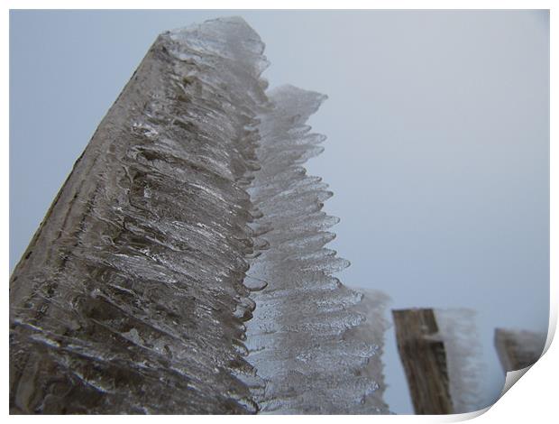 Iced Fence Print by James Lamont