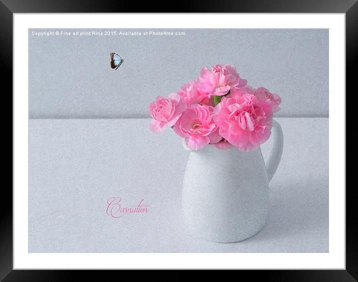  Carnation Framed Mounted Print by Fine art by Rina