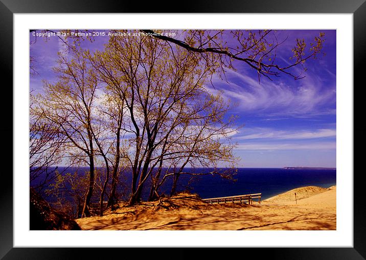  Dunes and Trees Framed Mounted Print by Ian Pettman