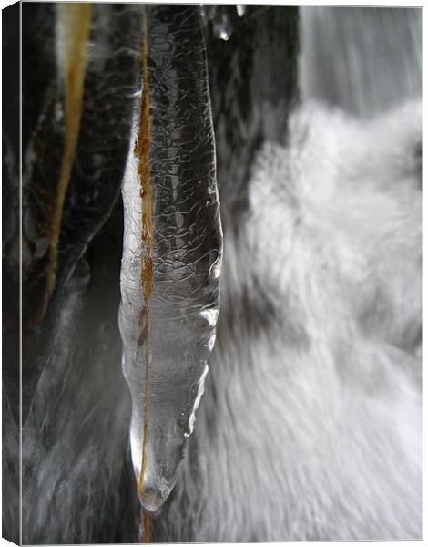 Icicle in Glen Lyon Canvas Print by James Lamont