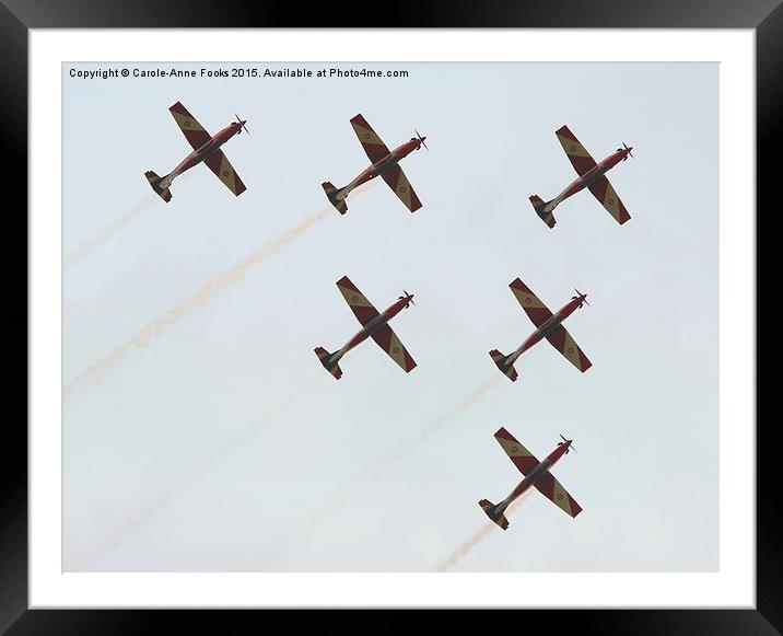  The Roulettes  Framed Mounted Print by Carole-Anne Fooks