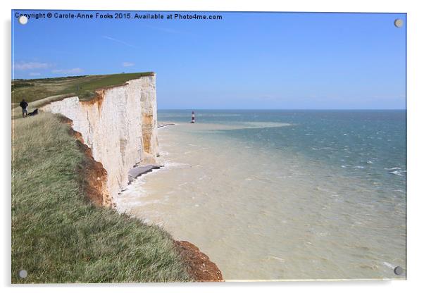  Seven Sisters From The Top Of The Cliffs Acrylic by Carole-Anne Fooks