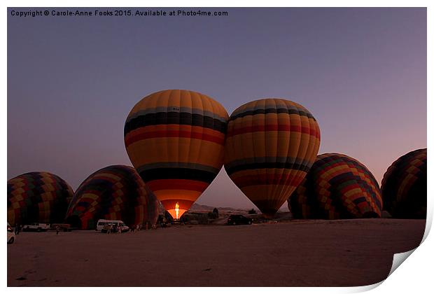  Getting Ready For Takeoff Print by Carole-Anne Fooks