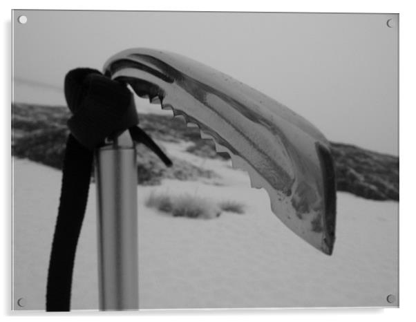 Ice Axe - Black and White Acrylic by James Lamont