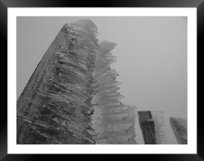 Icicle Fence Black and White Framed Mounted Print by James Lamont